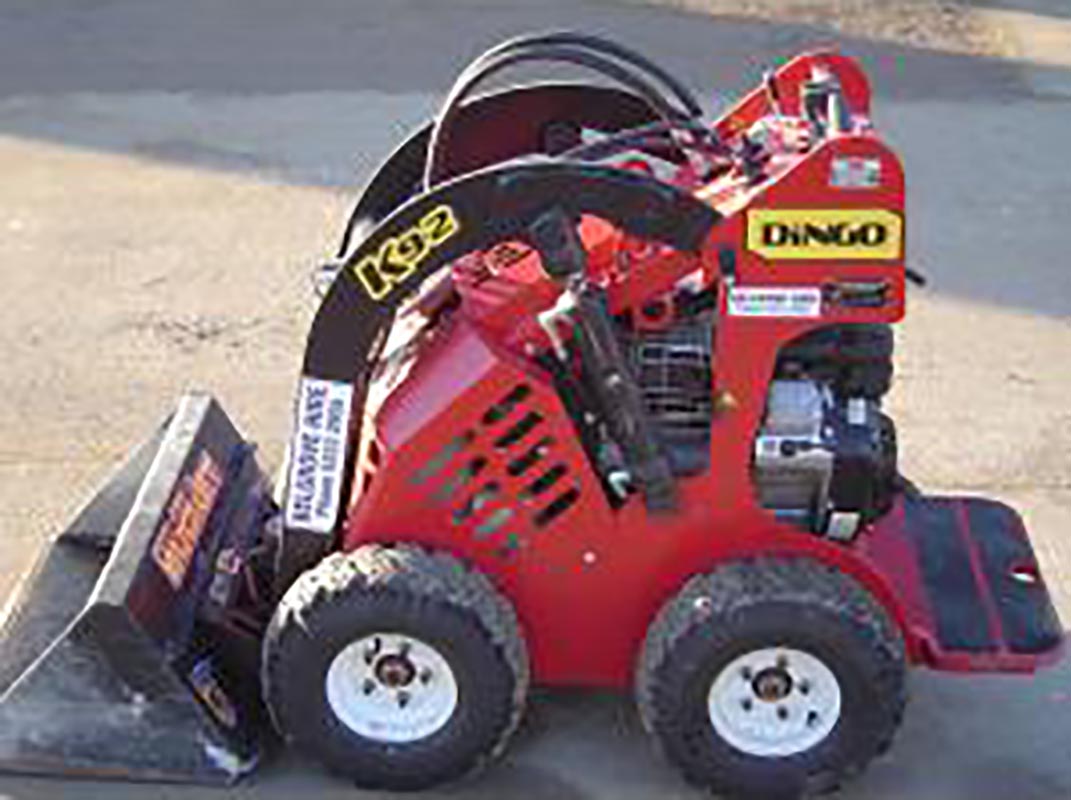 Dingo-K9-2