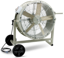 Fan Man Cooler 19"